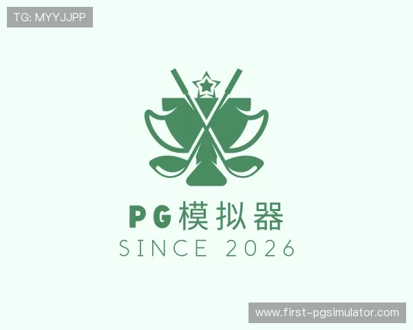 了解pg模拟器